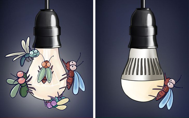 8 sai sót khiến côn trùng làm tổ trong nhà bạn, đuổi mãi cũng không hết-2