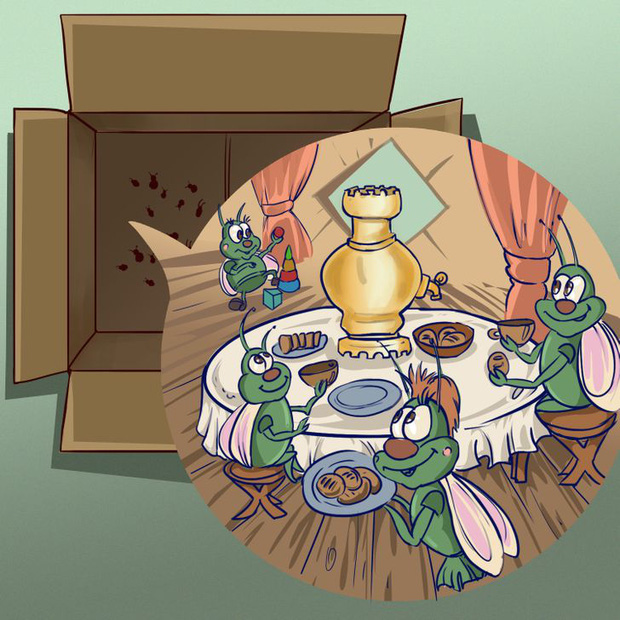 8 sai sót khiến côn trùng làm tổ trong nhà bạn, đuổi mãi cũng không hết-4