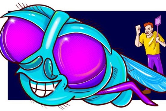 8 sai sót khiến côn trùng làm tổ trong nhà bạn, đuổi mãi cũng không hết