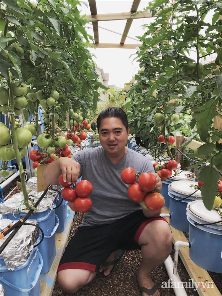Choáng ngợp trước khu vườn phủ xanh rau quả sạch của tổng giám đốc Việt ở Mỹ-13