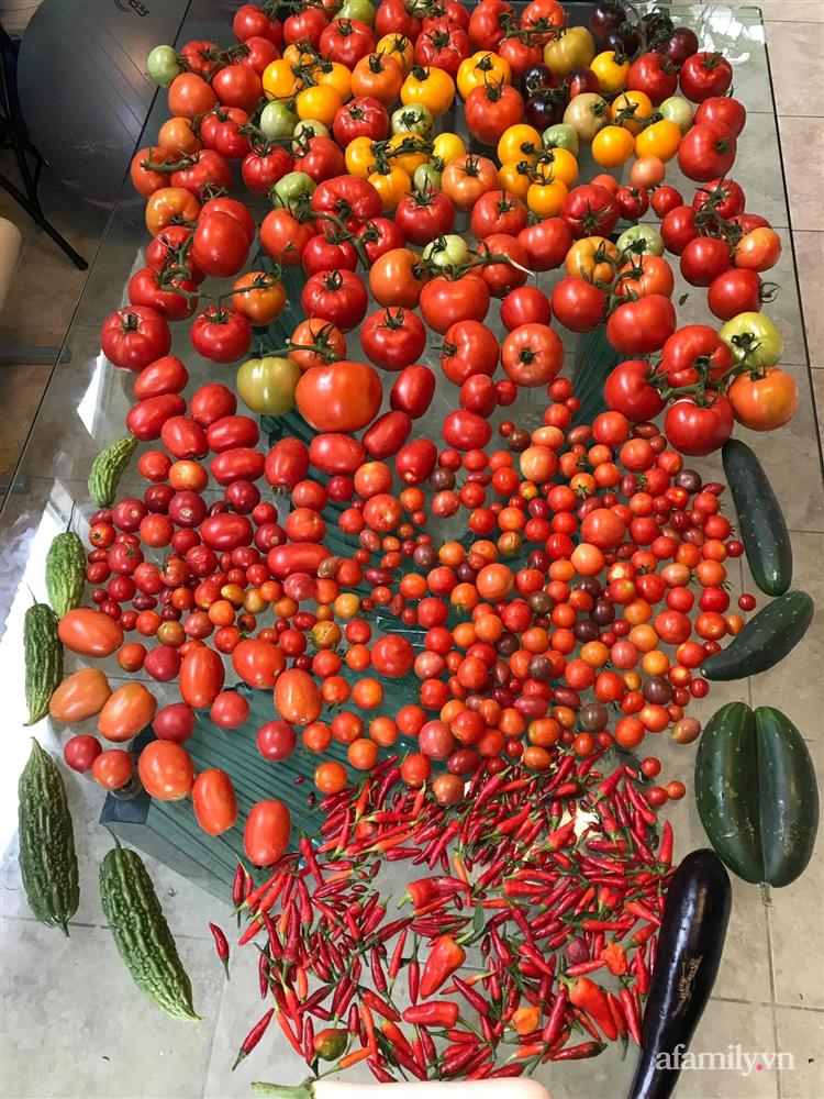 Choáng ngợp trước khu vườn phủ xanh rau quả sạch của tổng giám đốc Việt ở Mỹ-14