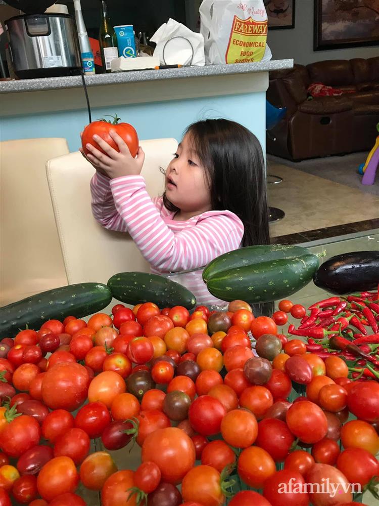 Choáng ngợp trước khu vườn phủ xanh rau quả sạch của tổng giám đốc Việt ở Mỹ-23