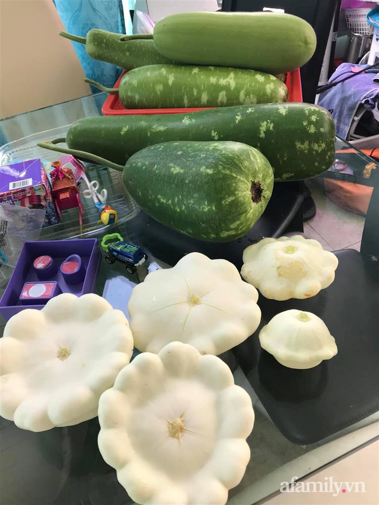 Choáng ngợp trước khu vườn phủ xanh rau quả sạch của tổng giám đốc Việt ở Mỹ-24