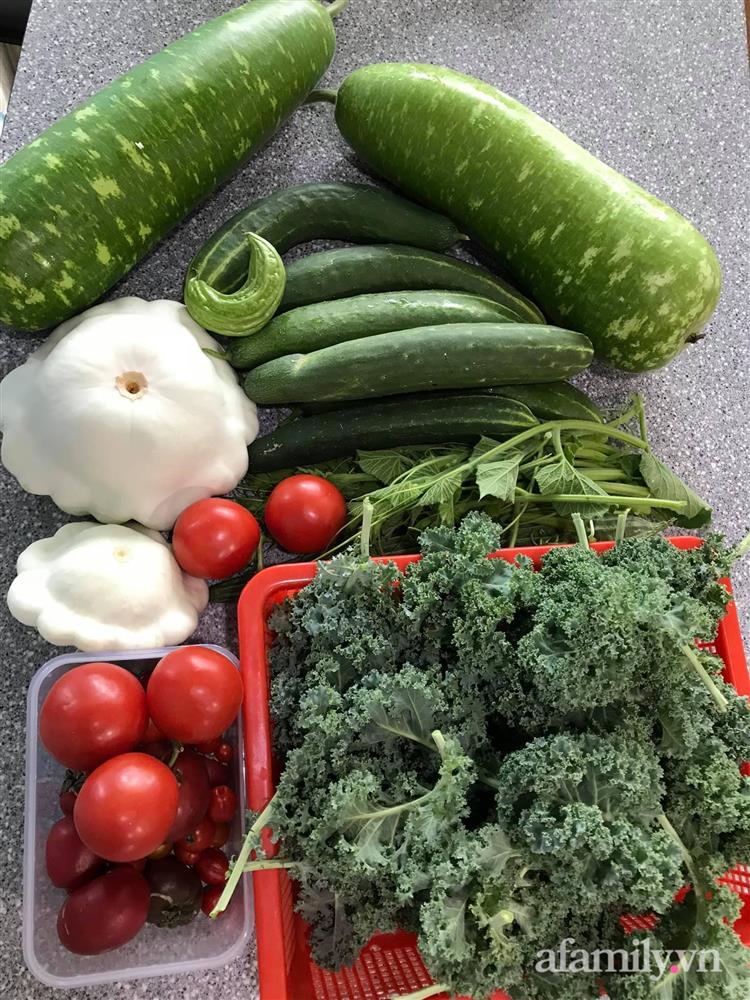 Choáng ngợp trước khu vườn phủ xanh rau quả sạch của tổng giám đốc Việt ở Mỹ-33