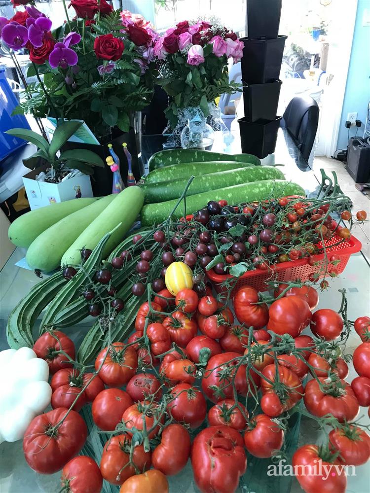 Choáng ngợp trước khu vườn phủ xanh rau quả sạch của tổng giám đốc Việt ở Mỹ-34