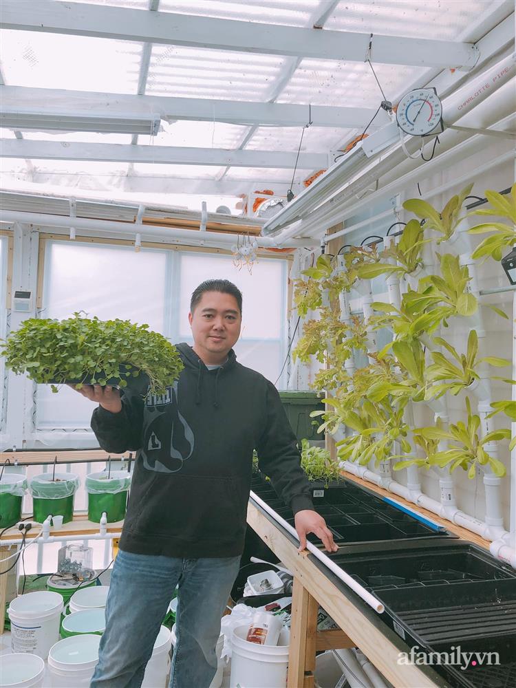 Choáng ngợp trước khu vườn phủ xanh rau quả sạch của tổng giám đốc Việt ở Mỹ-35