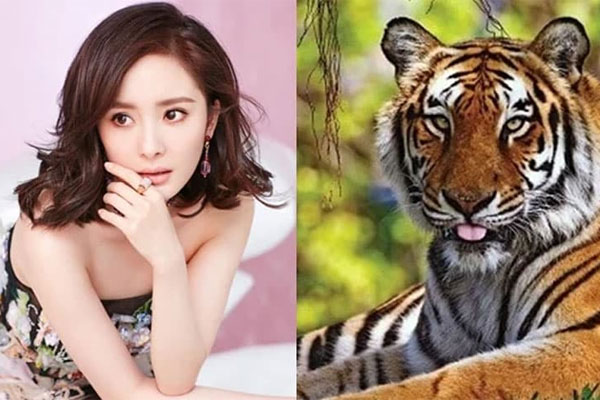 Phụ nữ sinh năm này có tướng làm sếp lớn, quyền hành hơn cả chồng-4