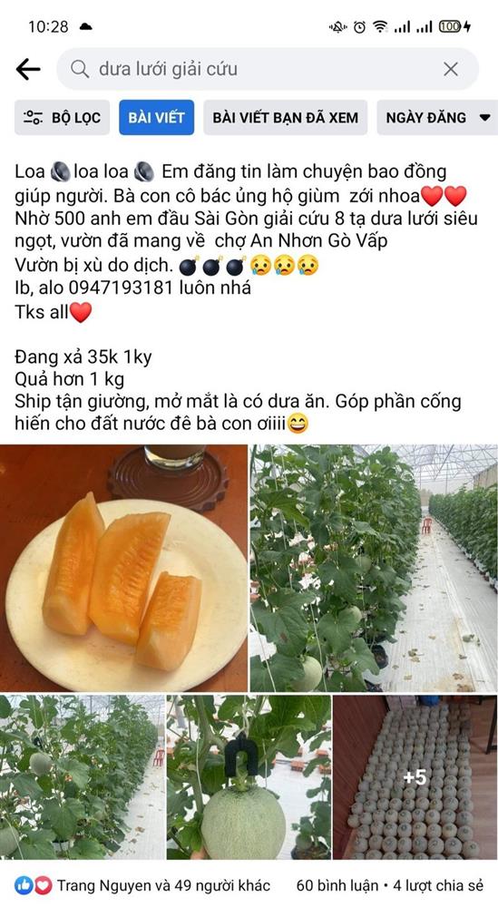 Dưa lưới đại hạ giá, chỉ từ 20.000 đồng/kg-3