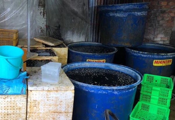 1,8 tấn ốc ngâm hóa chất ở quận 8 TP.HCM bị phanh phui: Sát thủ kinh hoàng đe dọa sức khỏe người tiêu dùng-1