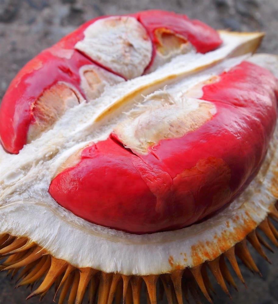 Điểm danh 6 loại sầu riêng ngoại nhập được ưa chuộng nhất tại Việt Nam-4