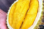 Bánh kem sầu riêng nguyên múi siêu chảnh giá cả nửa triệu đồng-6