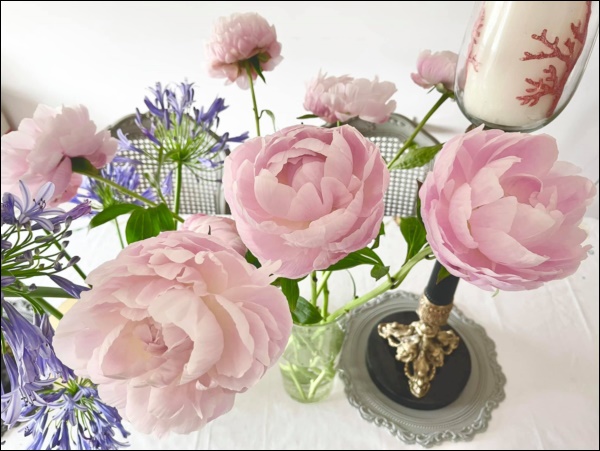 Căn penhouse triệu đô của NTK Lý Quí Khánh đẹp mỹ mãn như một bức tranh, bốn mùa ngập tràn cỏ cây, hoa lá xịn sò-6