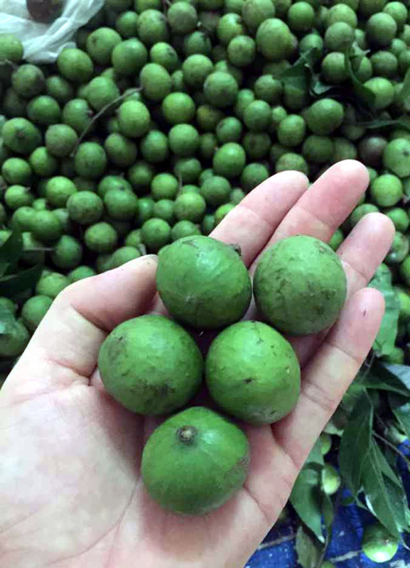 Sấu non đầu mùa, năm nay rẻ chưa từng có-1