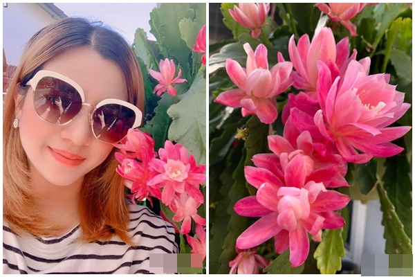 Cặp vợ chồng trẻ bỏ phố về quê xây ngôi nhà nhỏ trên mảnh đồi 2ha phủ quanh toàn hoa cỏ đồng nội như vườn Châu Âu-24