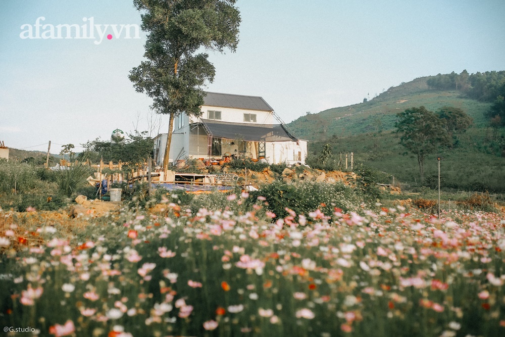 Cặp vợ chồng trẻ bỏ phố về quê xây ngôi nhà nhỏ trên mảnh đồi 2ha phủ quanh toàn hoa cỏ đồng nội như vườn Châu Âu-12