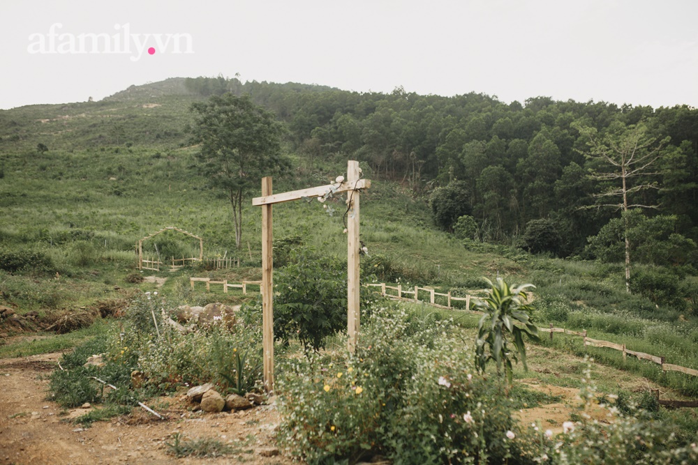 Cặp vợ chồng trẻ bỏ phố về quê xây ngôi nhà nhỏ trên mảnh đồi 2ha phủ quanh toàn hoa cỏ đồng nội như vườn Châu Âu-19