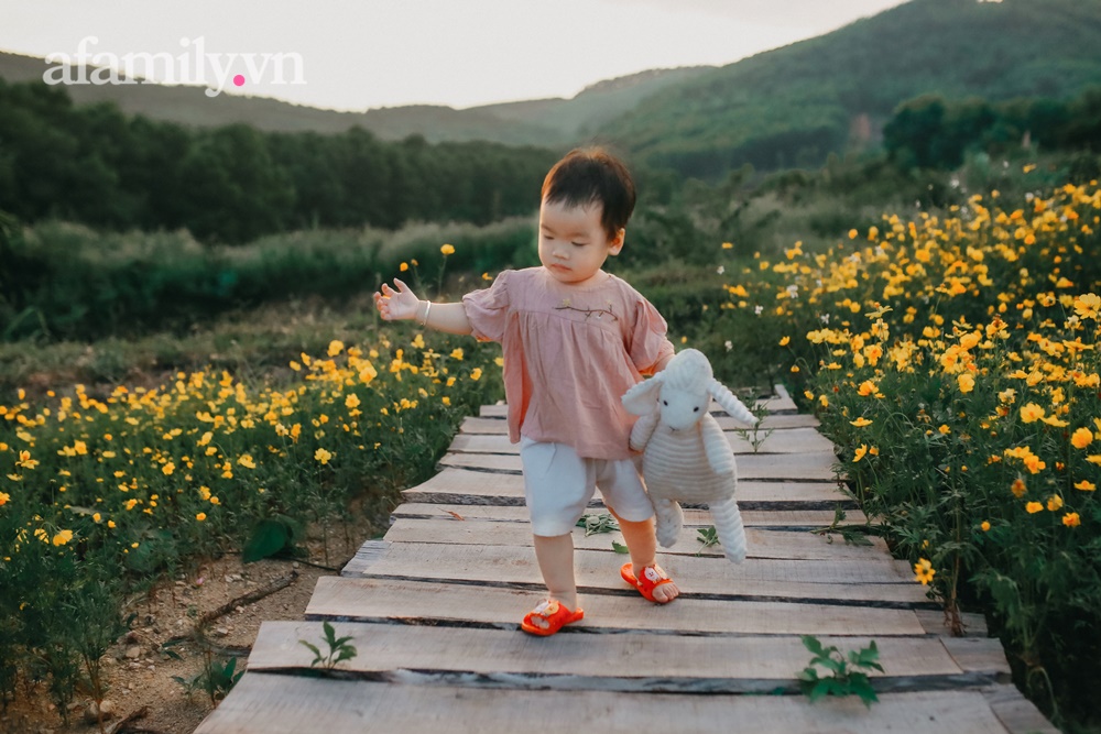 Cặp vợ chồng trẻ bỏ phố về quê xây ngôi nhà nhỏ trên mảnh đồi 2ha phủ quanh toàn hoa cỏ đồng nội như vườn Châu Âu-20