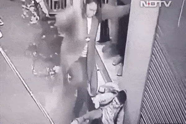 Lạnh gáy cảnh chó Pitbull cắn chết người ở Long An: Có nên cấm cửa tuyệt đối, không cho phép nuôi chó dữ?-3