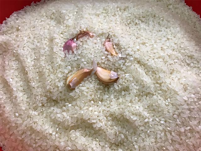 Phải làm gì nếu gạo bị sâu mọt trong thời tiết nắng nóng? Mách bạn mẹo nhỏ giữ gìn ngọc thực đủ tích trữ trong 6 tháng-3