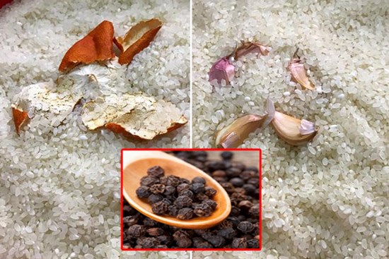 Phải làm gì nếu gạo bị sâu mọt trong thời tiết nắng nóng? Mách bạn mẹo nhỏ giữ gìn