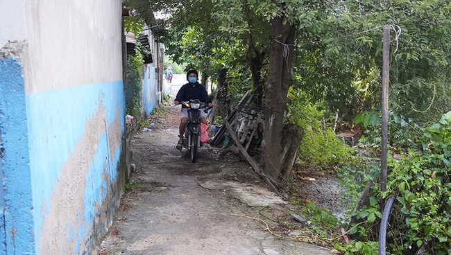 Thông tin bất ngờ vụ chó pitbull cắn chết người ở Long An: Chủ chó có sở thích nuôi động vật lạ, đêm xảy ra vụ việc có tới 2 con pitbull-4