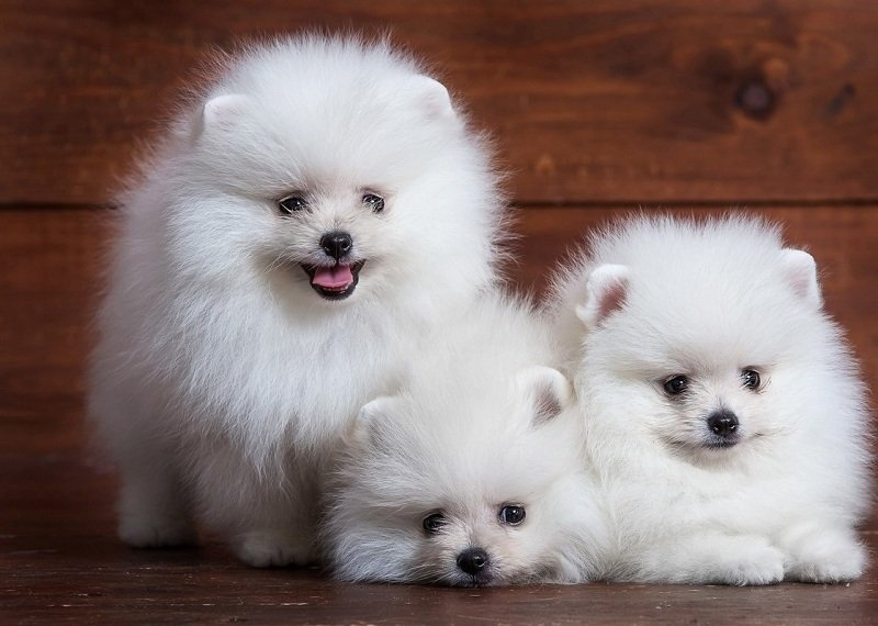 Chỉ 8 triệu đồng, 2 năm làm chơi ăn thật chàng sinh viên mua nhà Hà Nội-2