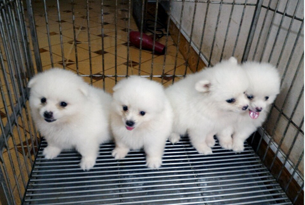 Chỉ 8 triệu đồng, 2 năm làm chơi ăn thật chàng sinh viên mua nhà Hà Nội-1