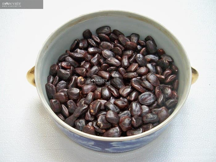 Tuyệt chiêu làm đá me hạt mềm siêu đơn giản giải nhiệt cho mùa hè-2