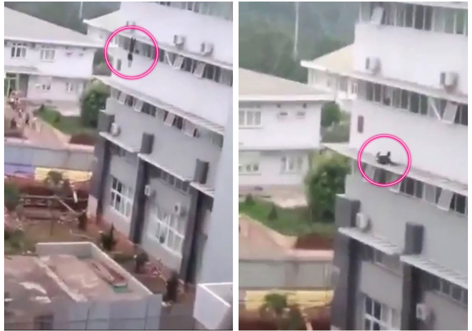 Nhói tim khoảnh khắc người đàn ông rơi từ tầng 3 của bệnh viện tử vong-1