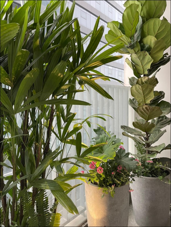 Căn hộ 210m2 sang trọng, tinh tế đến từng chi tiết của vợ chồng bác sĩ ở Hà Nội, hệ thống smarthome hiện đại cực kỳ đáng sống-21