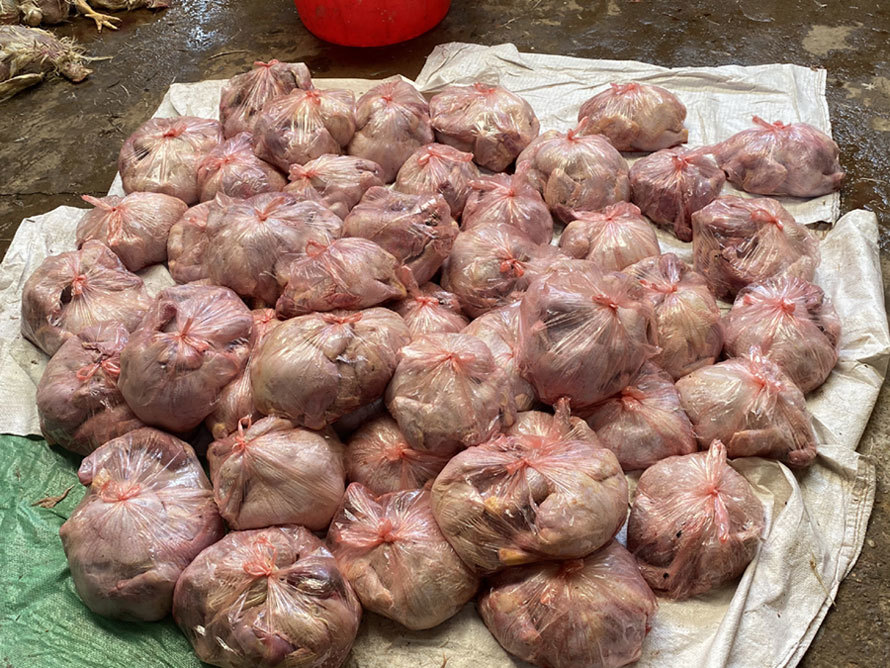3 tấn thịt gà bốc mùi hôi thối, chuẩn bị bán ra thị trường-1