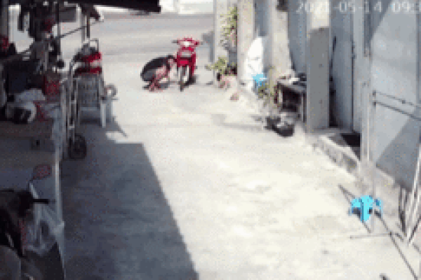 Xe máy điện đang sạc pin bất ngờ bốc cháy dữ dội khiến nhiều xe bị thiêu rụi-1