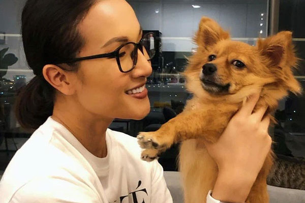 Hình ảnh cuối cùng của 2 chú chó Pitbull ở Long An trước khi cắn chết người và tấn công chủ-6