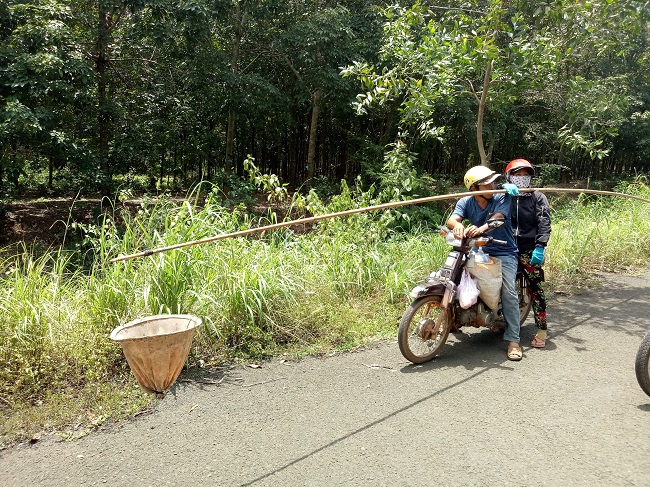 Loại trứng thần dược” vào mùa, nhiều người đi săn kiếm bộn tiền”-2
