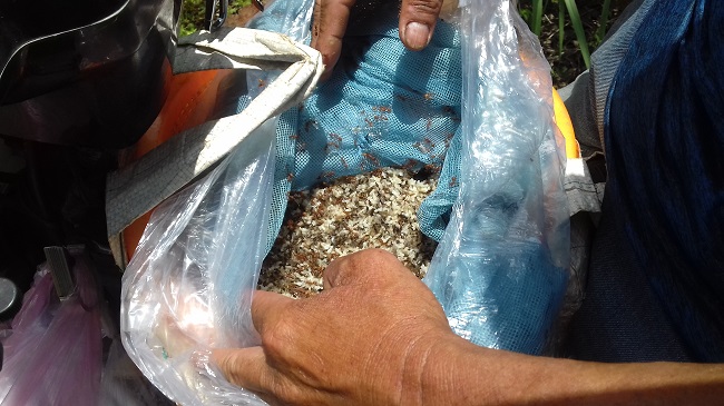 Loại trứng thần dược” vào mùa, nhiều người đi săn kiếm bộn tiền”-3