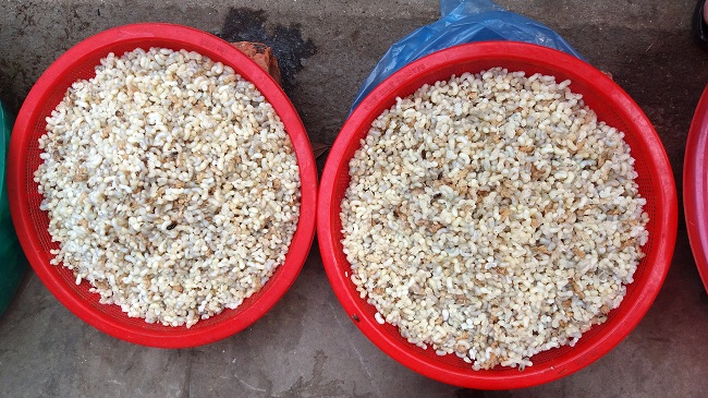 Loại trứng thần dược” vào mùa, nhiều người đi săn kiếm bộn tiền”-4