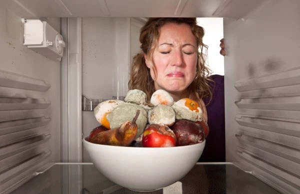 Tủ lạnh là vật dụng bẩn số 1 trong nhà bếp: Có 2 món được lấy ra từ tủ lạnh dễ gây ung thư dạ dày-1