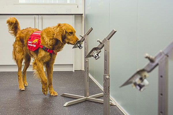 Nhật ký đau đớn giữa địa ngục Covid Ấn Độ: Nữ giáo sư 38 tuổi liên tục cập nhật tình trạng của mình, cầu cứu xin giường bệnh trong vô vọng đến lúc chết-4