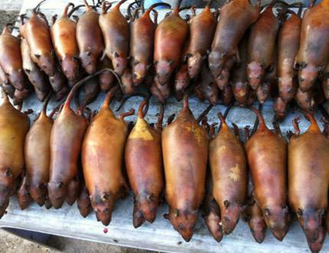 Đặc sản Hà Giang khiến nhiều người phải rùng mình không dám thưởng thức-1