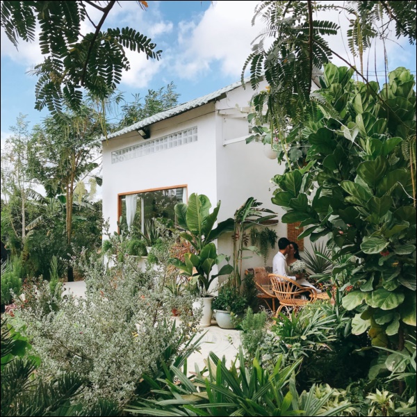 Căn chòi rừng rú bỏ hoang được đầu tư 150 triệu, lột xác ngoạn mục thành khu vườn tràn&nbsp;ngập cây xanh thơ mộng-6