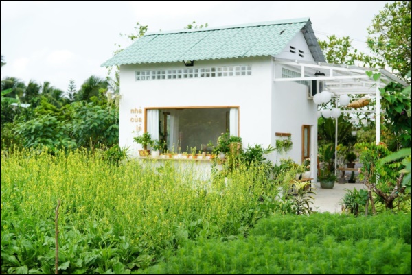 Căn chòi rừng rú bỏ hoang được đầu tư 150 triệu, lột xác ngoạn mục thành khu vườn tràn ngập cây xanh thơ mộng-14