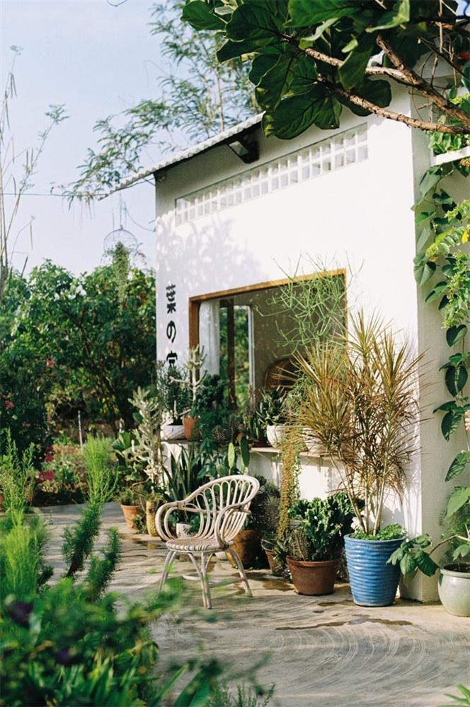 Căn chòi rừng rú bỏ hoang được đầu tư 150 triệu, lột xác ngoạn mục thành khu vườn tràn ngập cây xanh thơ mộng-13