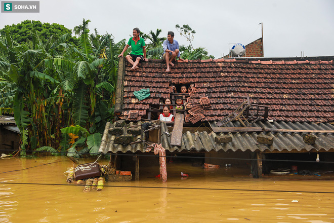 Những nhà hảo tâm đáng thương: Trái tim nhầm chỗ để trên đầu!-4