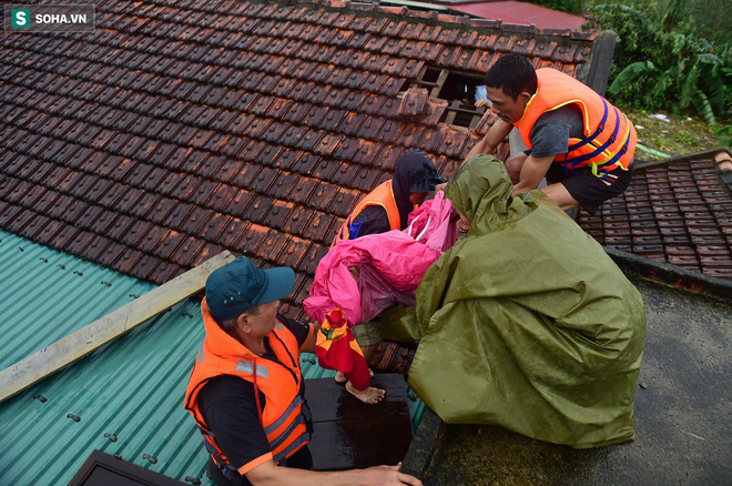 Những nhà hảo tâm đáng thương: Trái tim nhầm chỗ để trên đầu!-11
