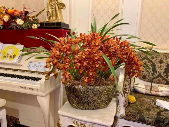 Không gian sống sang chảnh của Á hậu Thụy Vân-3