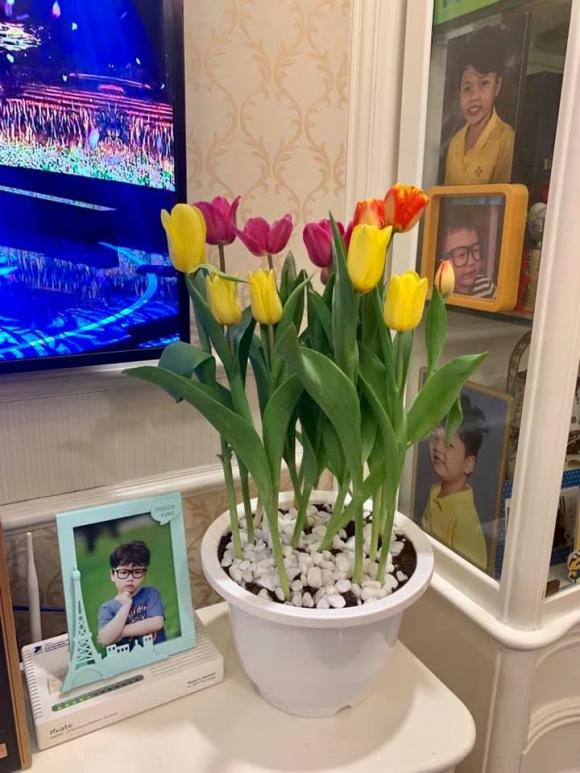 Không gian sống sang chảnh của Á hậu Thụy Vân-5