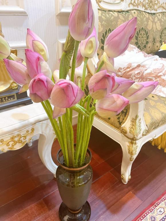 Không gian sống sang chảnh của Á hậu Thụy Vân-10