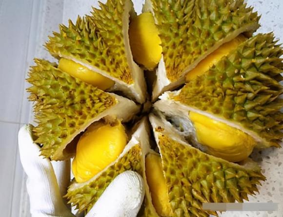 Đừng trông chờ vào sự may rủi khi mua sầu riêng, hãy nắm vững mẹo này để chọn được những quả sầu riêng dày cùi và ngọt-6