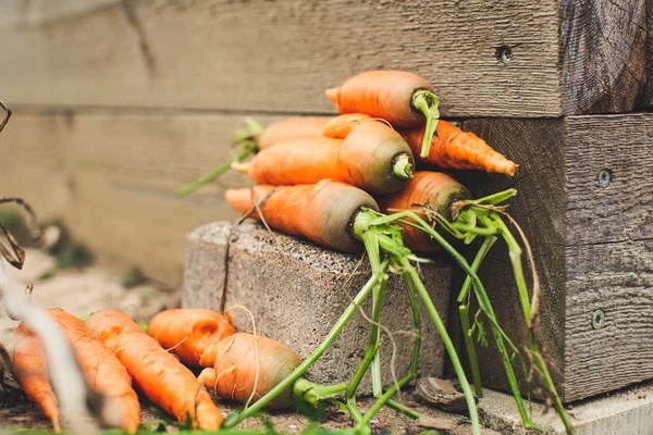 2 loại rau củ quen thuộc nếu ăn sống có thể gây rối loạn nhịp tim, loãng xương, thậm chí đột tử-2