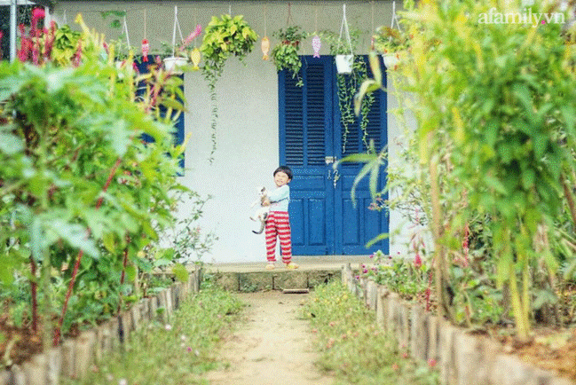 Khu vườn đậm chất thơ bình yên như cổ tích khiến hàng nghìn người mơ ước của cô gái rời Hà Nội về quê-1